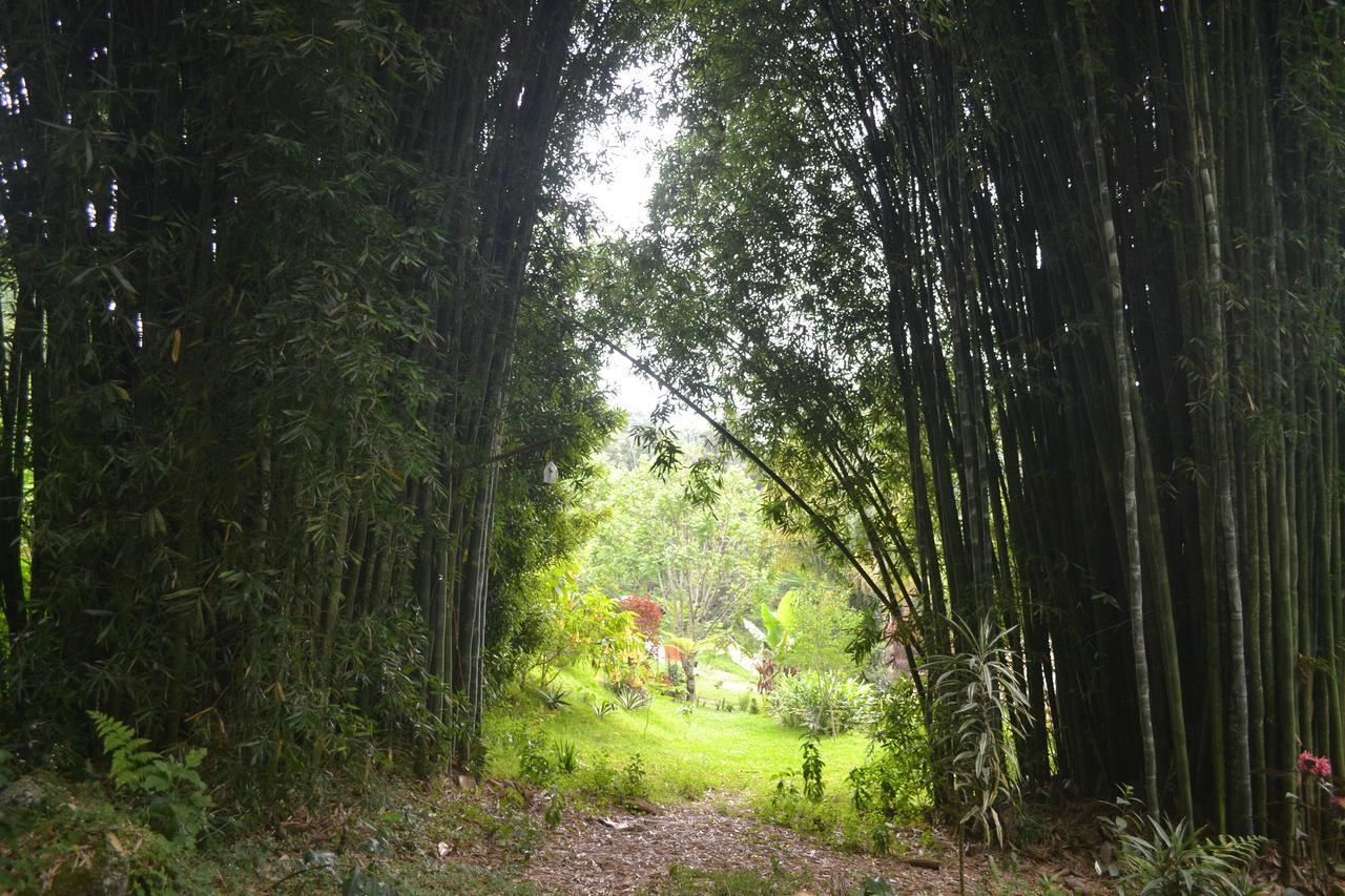 Eco Hotel La Jicarita Coatepec  Luaran gambar