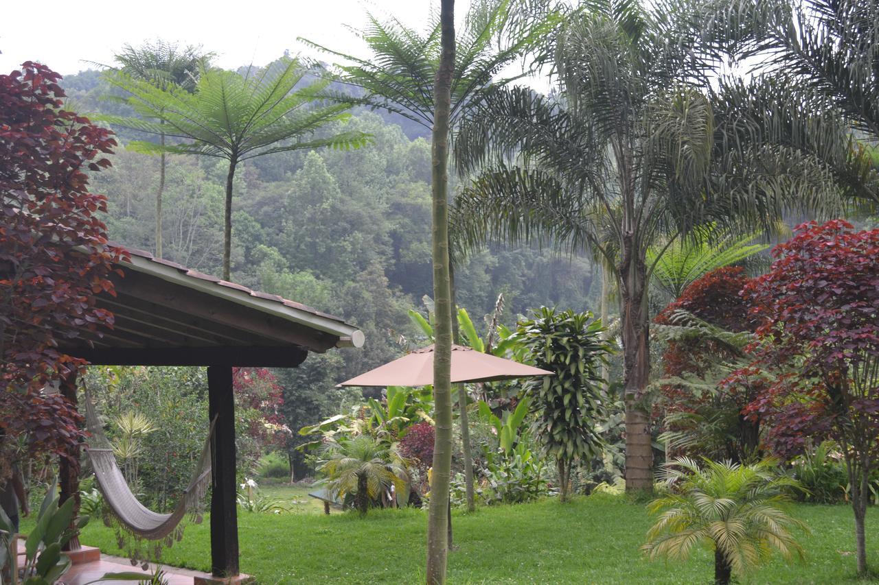 Eco Hotel La Jicarita Coatepec  Luaran gambar